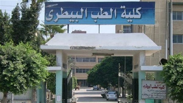 طب بيطري جامعة المنصورة