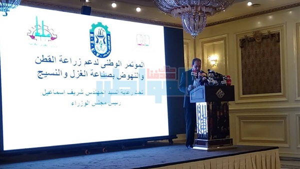 عصام فايد
