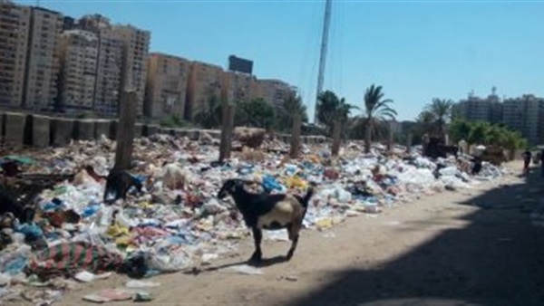 شارع إبراهيم عبد