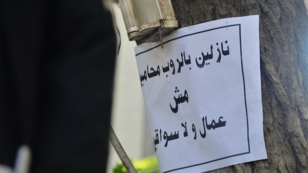 المواطن