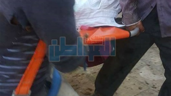 المواطن