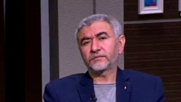 الدكتور نبيل القط،