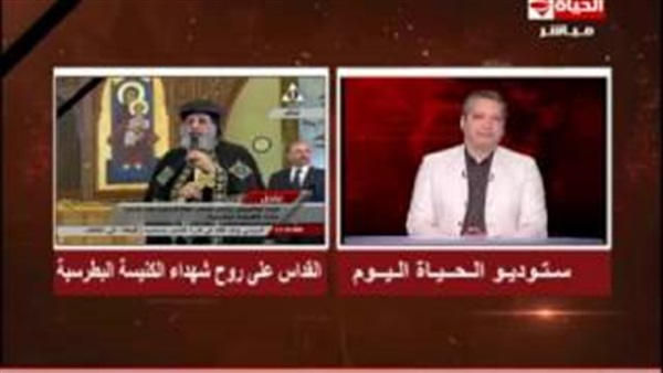 تامر أمين
