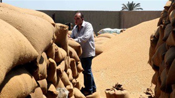 تفتيش صوامع القمح