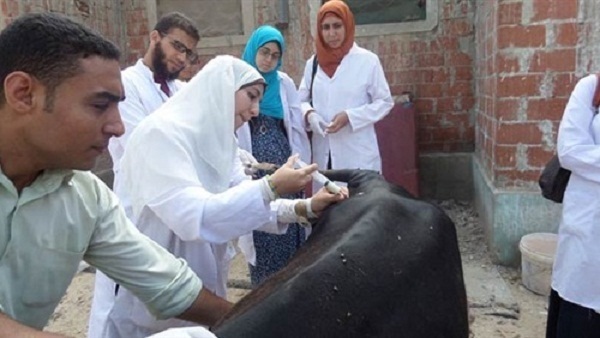 قوافل بيطرية طبية