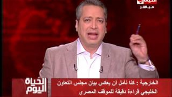 تامر أمين