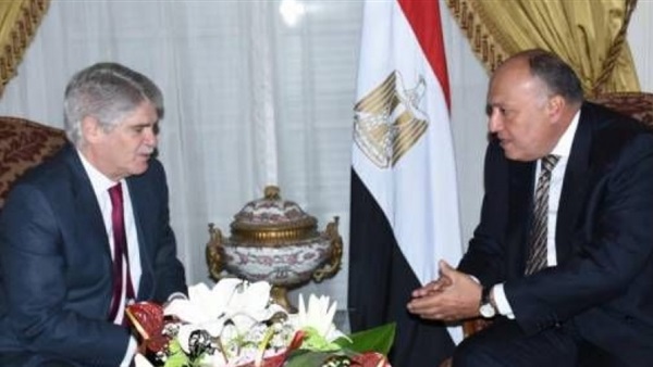 وزير الخارجية سامح