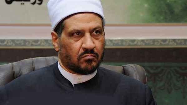الدكتور مجدى عاشور