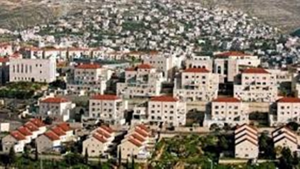 أرشيفية