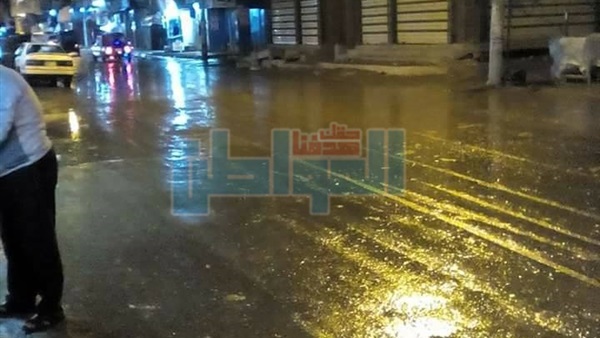 المواطن