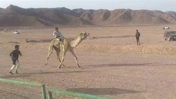 أرشيفية
