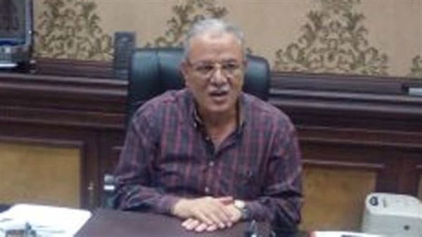عصام البديوي، محافظ