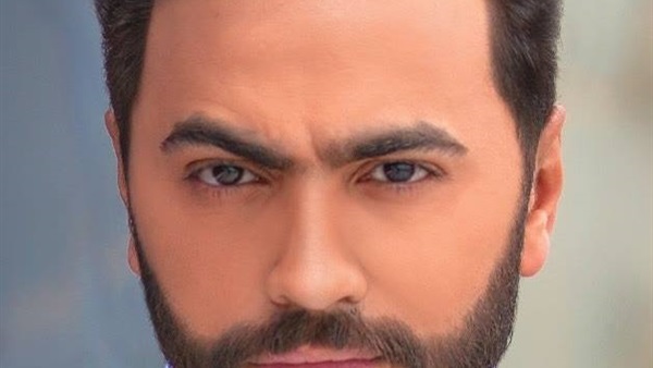 الفنان تامر حسني