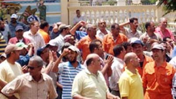 شركة افكو مصر للزيوت