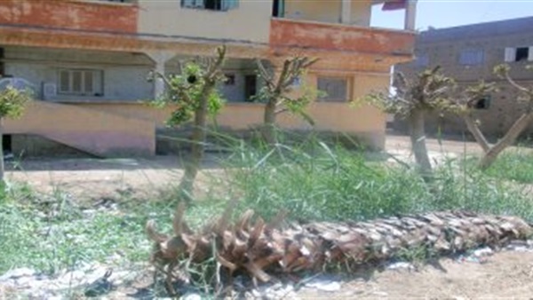منطقة الجواهرة