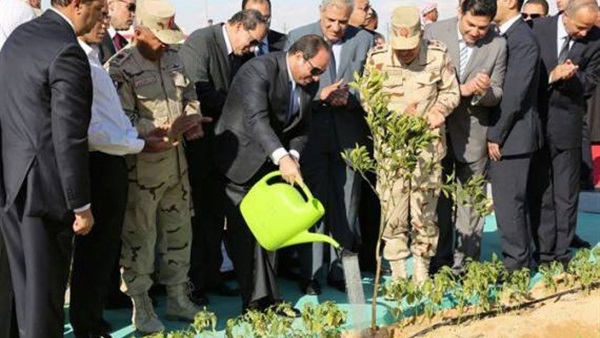 الرئيس عبد الفتاح