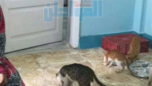 دار الهدايا للمسنين