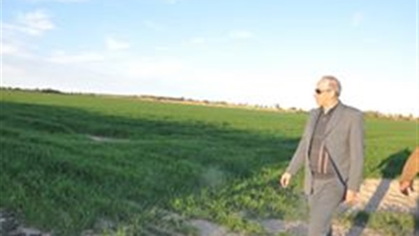 محافظ الوادي الجديد
