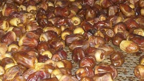 التمر