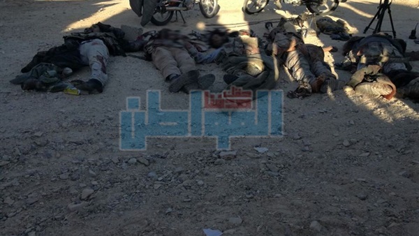 القوات المسلحة تحبط