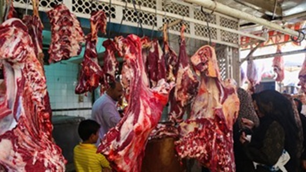 أرشيفية