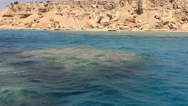 أرشيفية