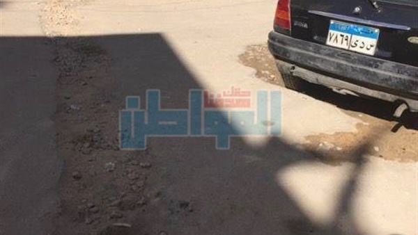 المواطن