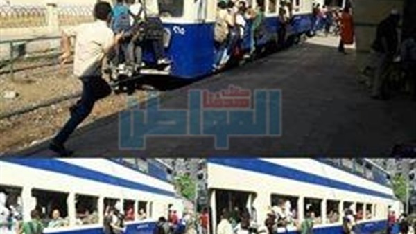 المواطن