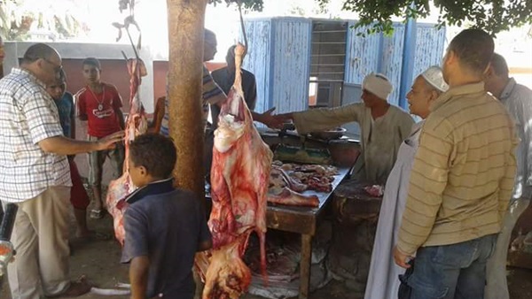 أرشيفية