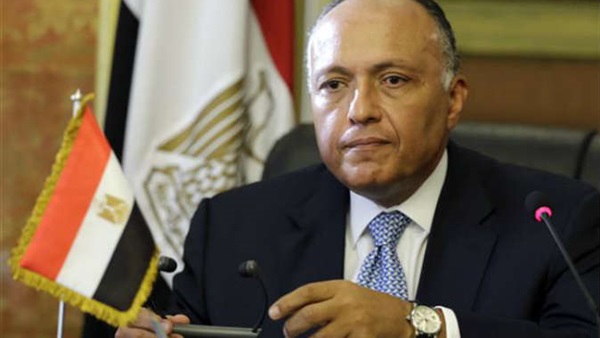 سامح شكري، وزير