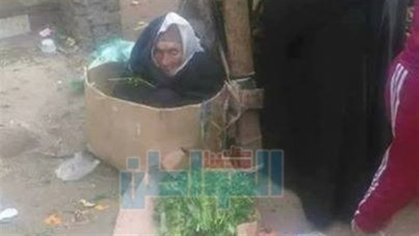 المواطن