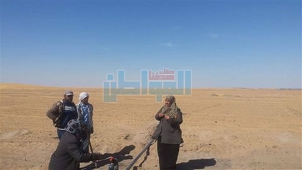المواطن