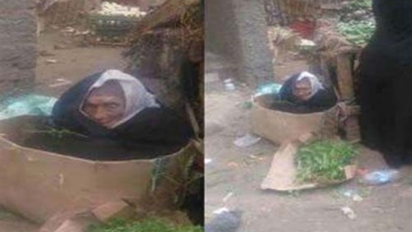 المواطن