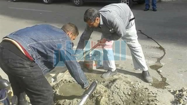 المواطن