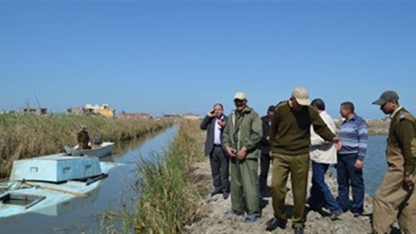 أرشيفية