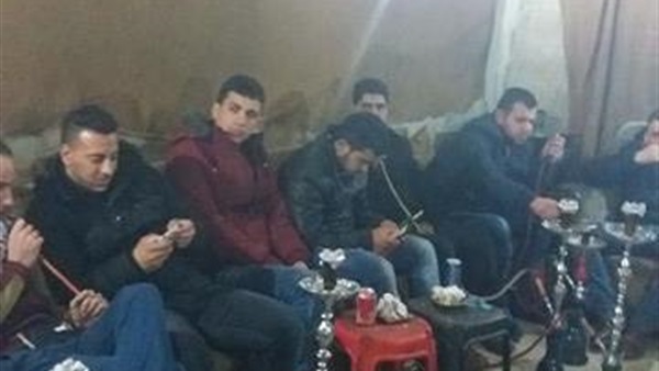 المواطن