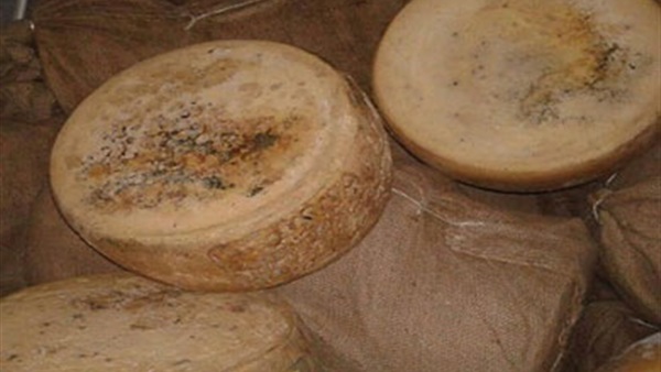 جبنة رومي منتهية