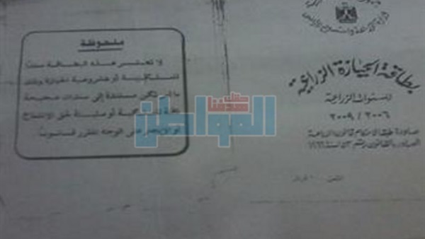 المواطن