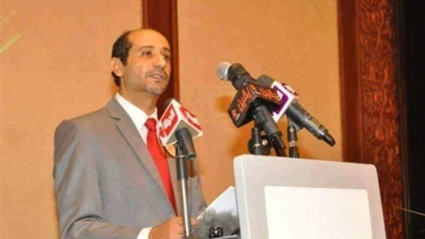 المهندس هاني فوزي