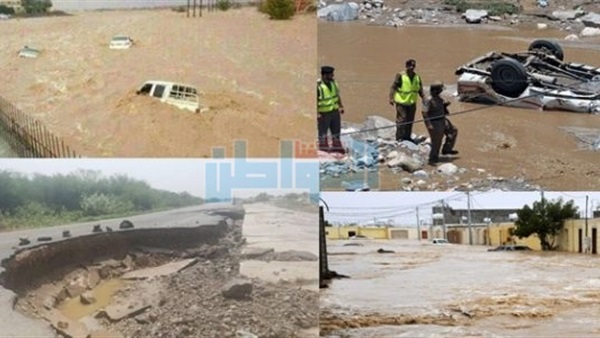 المواطن