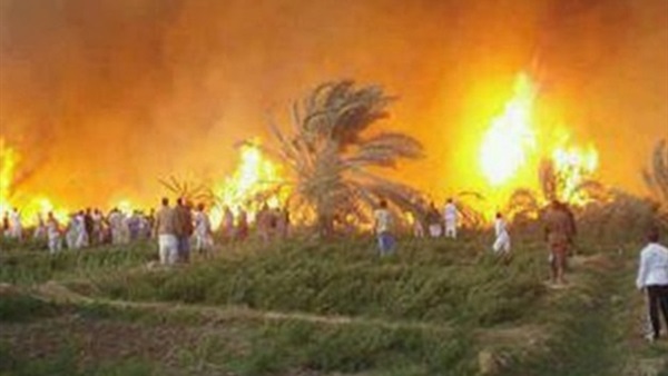 حريق مزرعة