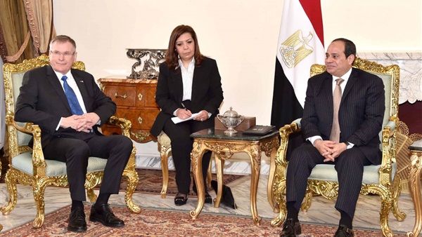 السيسي يلتقي نائب