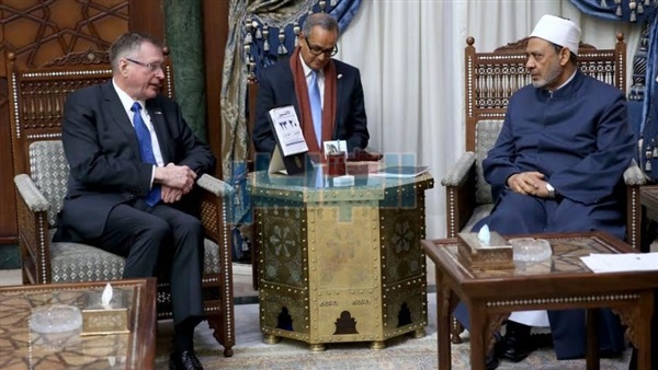المواطن