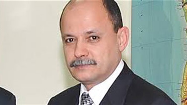 محمود المناوي