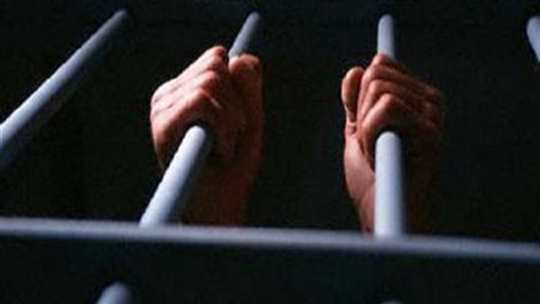 شبكة شواذ بمدينة