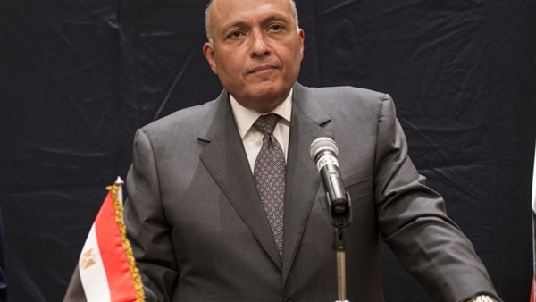 سامح شكري، وزير