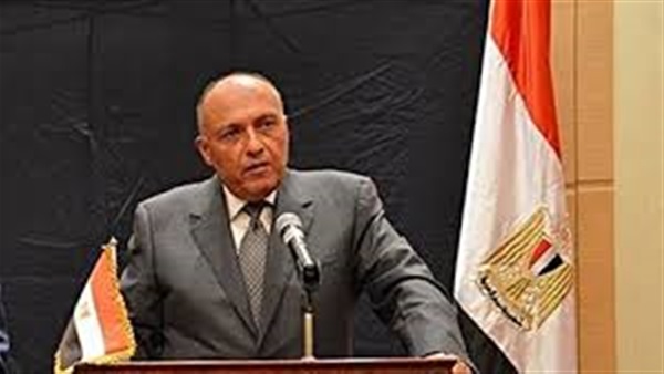 سامح شكري وزير الخارجية
