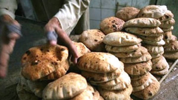 ارشيفية