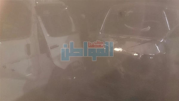 المواطن