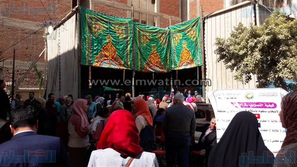 المواطن